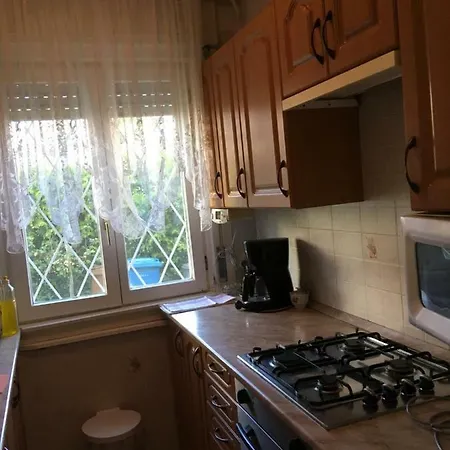 公寓 Roza Apartmanhaz 巴拉顿菲赖德